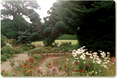 The Garden